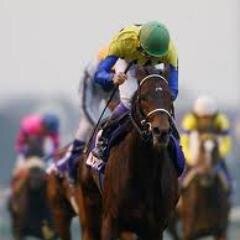 競馬の最新情報をつぶやきますのでRT（リツイート）してくださいね。 それから自動で１万フォロワーと毎月１万円の副収入が手に入るツイッターツールの無料プレゼントがあります。よろしければこちらからどうぞ↓