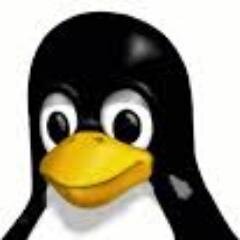 programadornet's profile picture. 