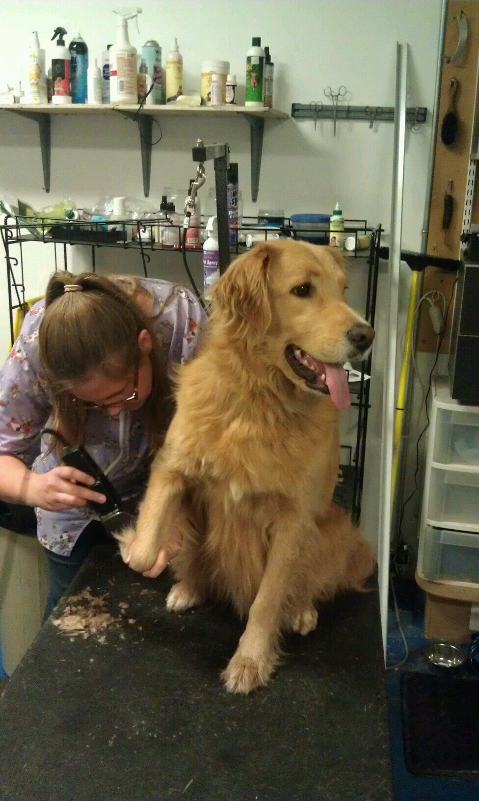 psHairoftheDog's profile picture. Grooming, Boarding, and Pet Supplies for all the family pets from the family dog to the loving hamster, located in Judah Indiana.