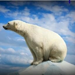 Serving the Business Community of White Bear Lake Minnesota since 1999