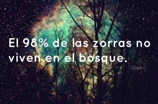 zorras_rd's profile picture. 