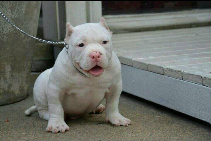 uliolvera's profile picture. 