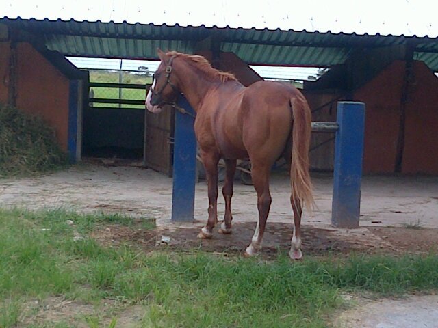 Rafa_Ramirez97's profile picture. 