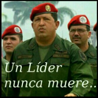 gomelo_arias's profile picture. Optimista