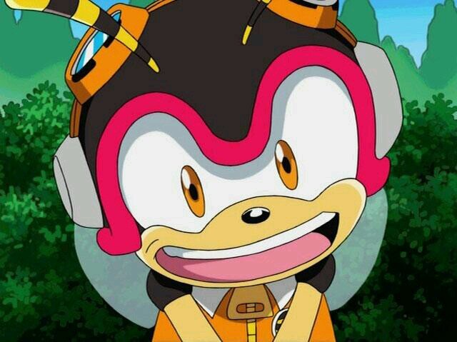 Name's Charmy! Just your average hyperactive, childish, bee-brained honey bee! I'm apart of Team Chaotix with Vector and Espio! We're with you guys!