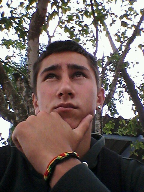 wpp 41 9755-8040