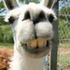 ErikaOlson1's profile picture. 