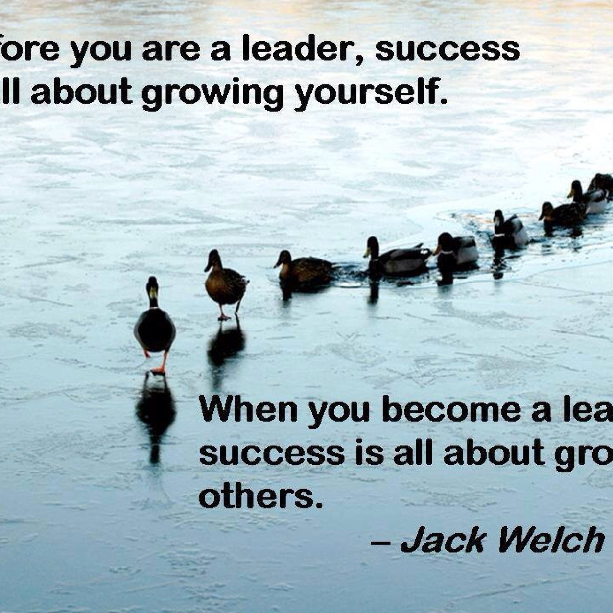 MoreSkjd's profile picture. 