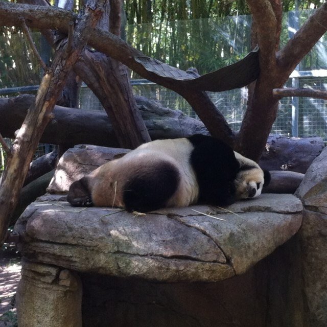 18Circo's profile picture. 