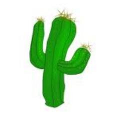 just your cacti friend dropping by to let you know how amazing you are and how much i love you and how rad i think you are!!!!