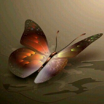 ﭑزﻋل ﻋﻟﯾك ﮨﺻﻣت ﻣں ﮐﺛر ﻣﭑ ﭑﻏﻟﯾك
وﭑﻗول ﯾﻋرﻓﻧي وﯾﻓﮪم . .ﺳﮐوﭠي 745410F2