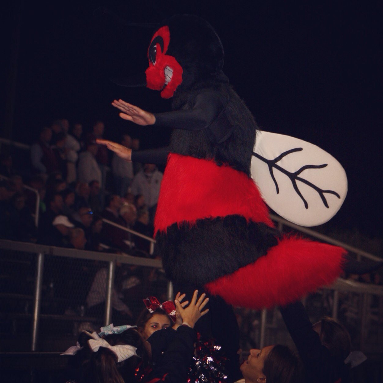 BranfordBuzz's profile picture. #BranfordHighSchool, #BHS Have you heard The Buzz? 🅱️ We are the online student news source for Branford High School. Check with us for all the latest news. 📰