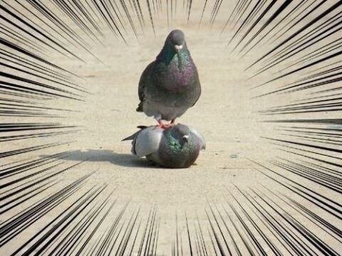なにも感じていなかった日常のことに、ふと気づくようになる。それが大人になることであり、歳をとることだと知った。