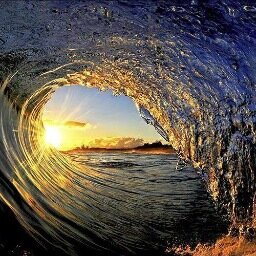 pjdjraz's profile picture. 