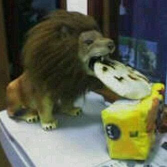 kirrelese's profile picture. Sargento Mayor de 1ra retirado de la Armada, Magallanero, leal al Comandante Eterno y Revolucionario 100% radical