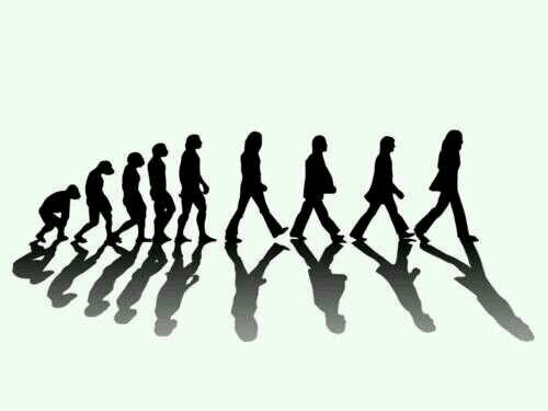 Edga91146642's profile picture. 