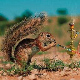 4Qlife's profile picture. #4QLife + #4QStyle = #4QLifeStyle ☢ Suck On THAT Because I'm, wait for it... ❦ #FFUOD #MTOD #UROD #TaTtT ➤ #TFB #TFBJP #FireFollow ✩ Mention me to DM me ✌