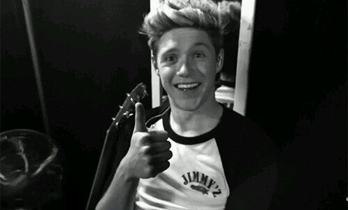 Follow @Lisanne083 please !