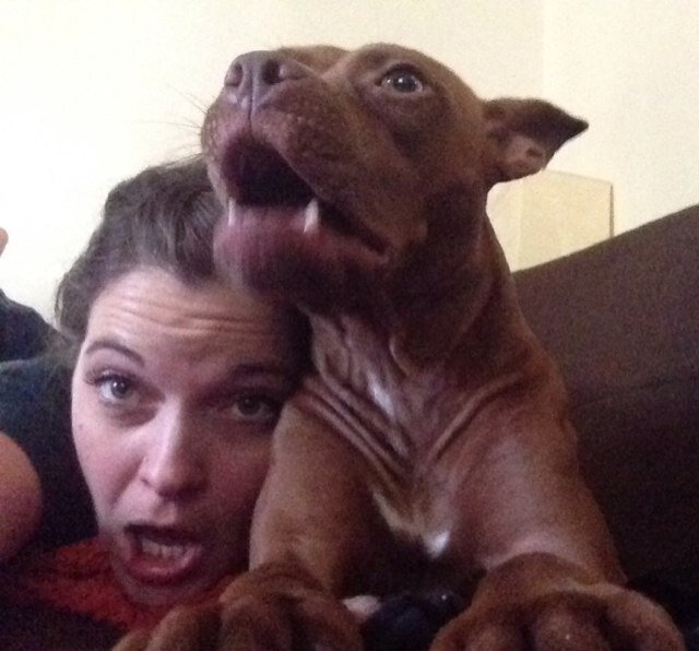 ashleytippin's profile picture. eater off all the food.