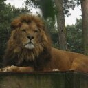 Avery Dawson - @wootenstein - Twitter