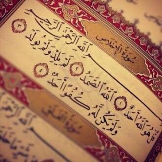 لا تسرق فرحة أحد ، ولا تقهر قلب أحد ، أعمارنا قصيرهہ ، ۅ في قبورنا نحتاج من يدعي لنا لا علينا ♡'