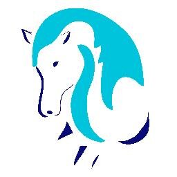 Specialising in preventative maintenance body work for dressage athletes and pleasure mounts.