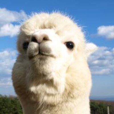 Moo Sur Twitter これから王国の復活を祝って 諸君にラピュタの力を見せてやろうと思ってね見せてあげよう ラピュタの雷を 旧約聖書にあるソドムとゴモラを滅ぼした天の火だよ ラーマヤーナではインドラの矢とも伝えているがね Moo Sur Twitter これから王国の復活を祝って 諸君にラピュタの力を見せてやろうと思ってね見せてあげよう ラピュタの雷を 旧約聖書にあるソドムとゴモラを滅ぼした天の火だよ ラーマヤーナではインドラの矢とも伝えているがね