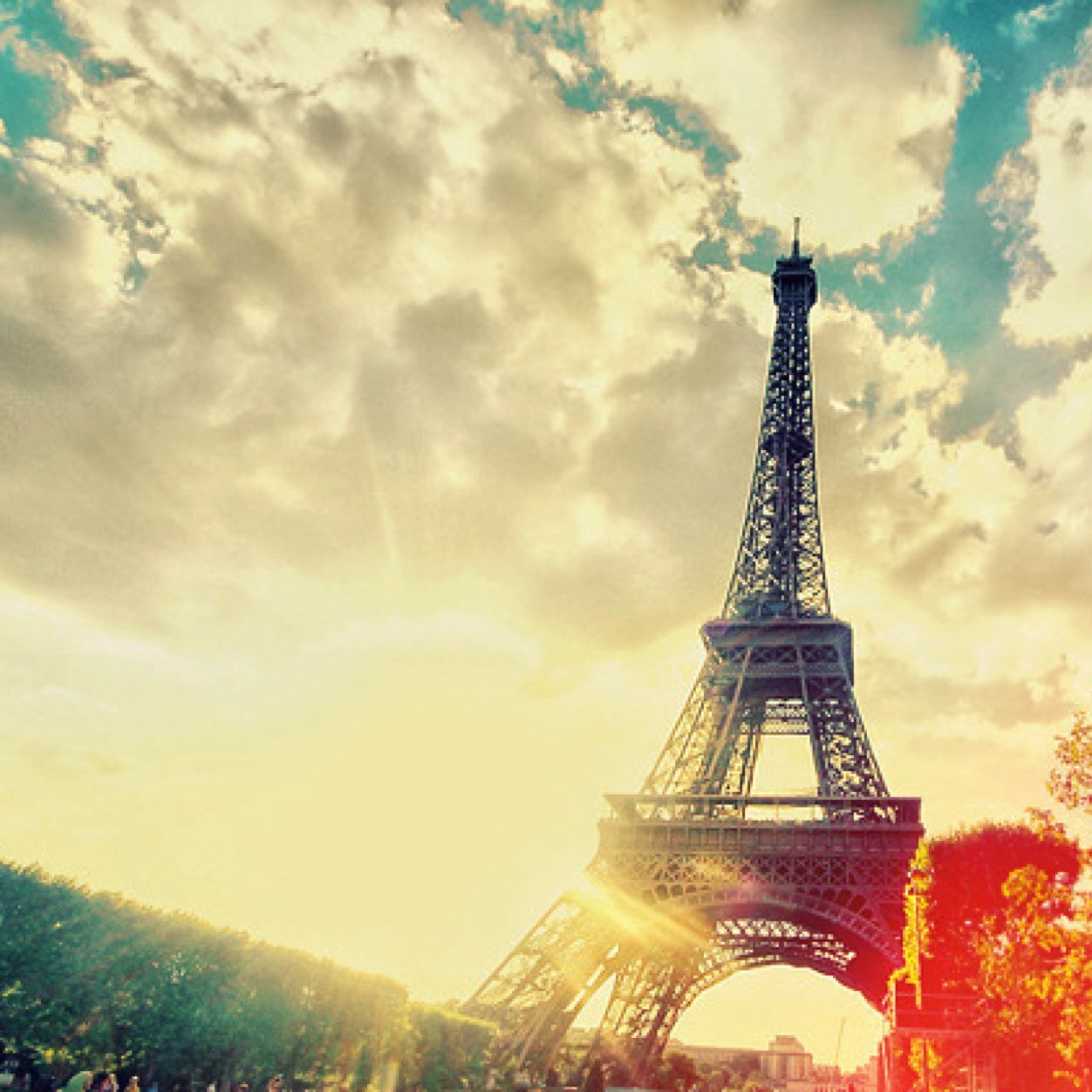 hmullen44's profile picture. 