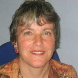 RuthGarland3's profile picture. Completed a PhD in political communications at the LSE in 2017, and now lecturing at the University of Hertfordshire. Former media relations professional.