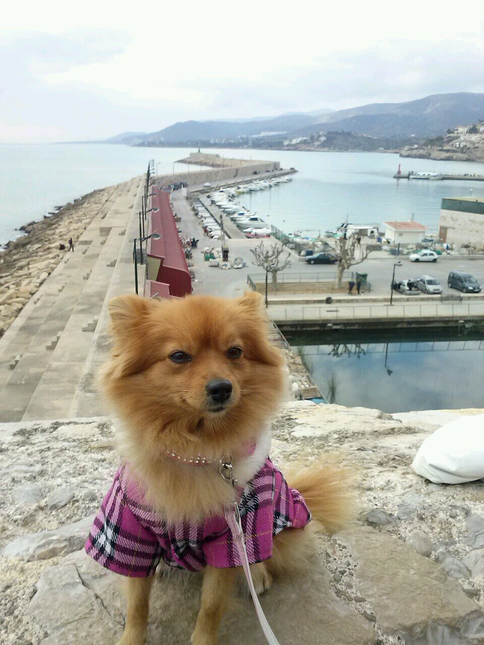 tooni93's profile picture. 