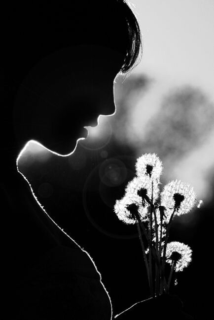 d_momcilovic's profile picture. 