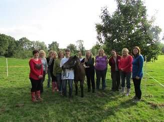 Professional, certificated & insurable training in animal therapy & communication. Animal Magic School of Animal Therapy - Since 2002. Principal Niki J. Senior.