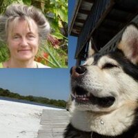 Beate Petersen (@hasko03) 's Twitter Profile