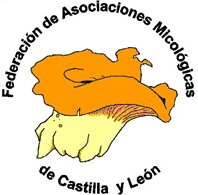 FAMCAL Federacion de Asociaciones Micologicas de Castilla y Leon.
Amantes y estudiosos de la Micología.