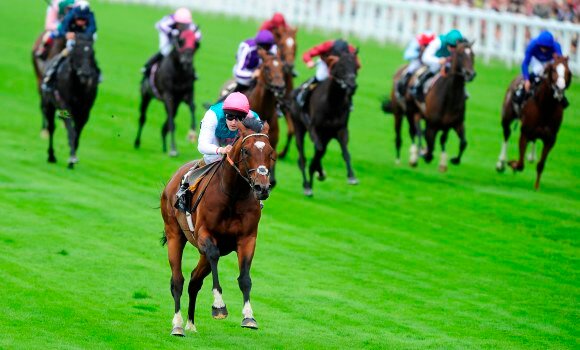 Team of punters who have made consistant profit through racing. #EverydayPunter Check out our website for more details on how to become a member!