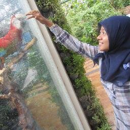 SDN Tlogosari 1, SMPN 1 Singosari, SMAN 9 Malang, AKBID Wira Husada Nusantara