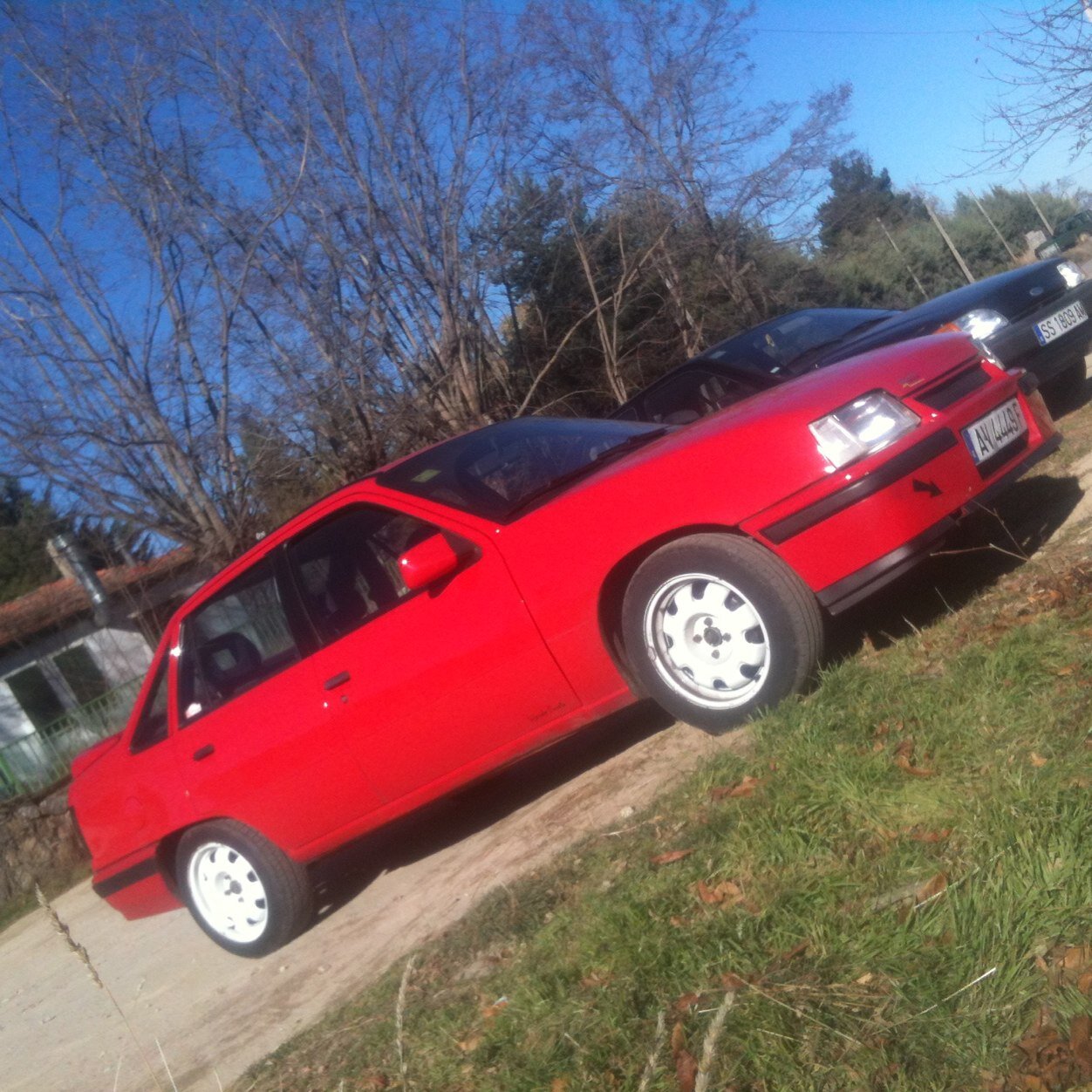 fordrsbejar's profile picture. 