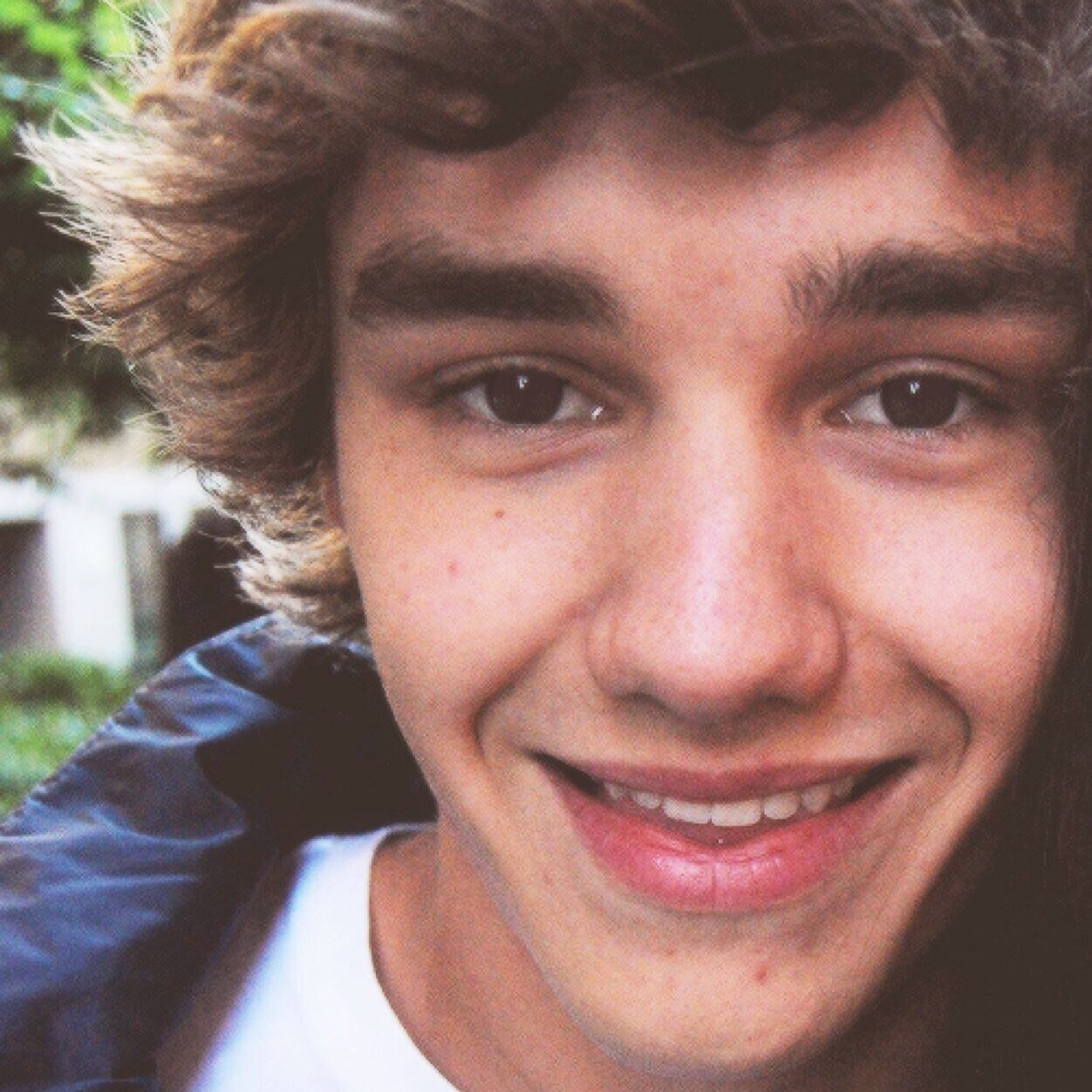 // @svgarplumlarry //