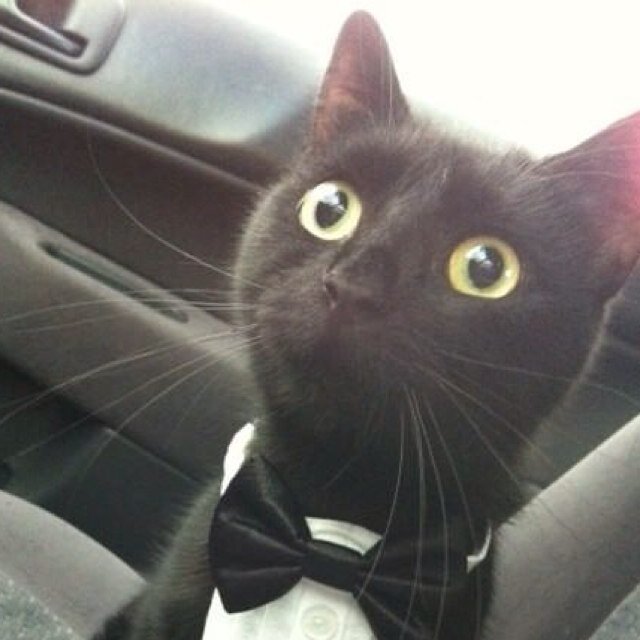 Row_Main's profile picture. 