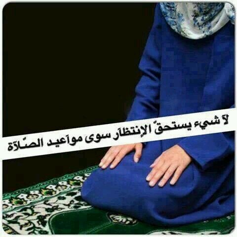 AlaAlnour's profile picture. قل ماتشاء ..كن ماتقول