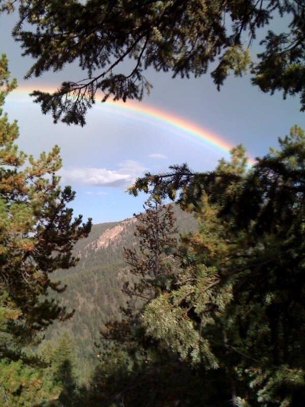 TanyaHunt54's profile picture. Educational consultant, PR pro, avid volunteer + wife & mom!