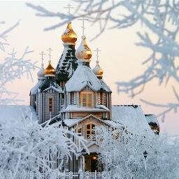 romtroy's profile picture. 