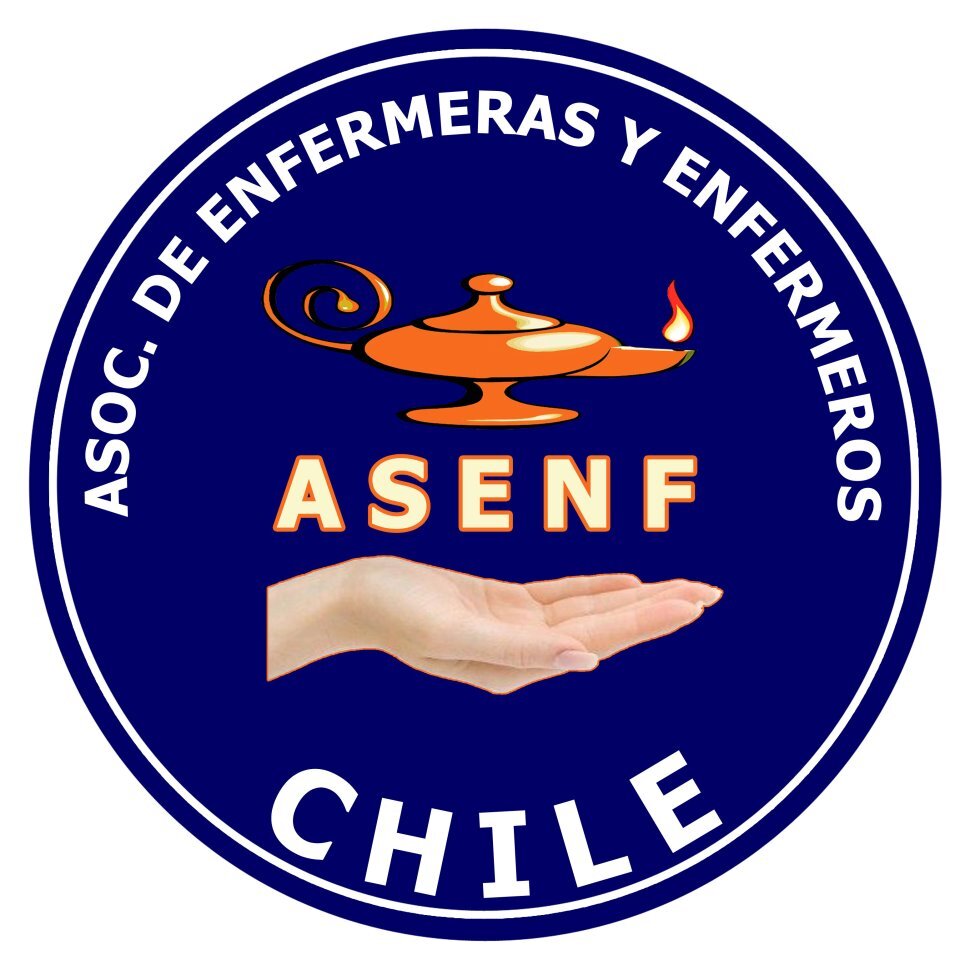 Asociación de Enfermeras y Enfermeros del Hospital de Castro