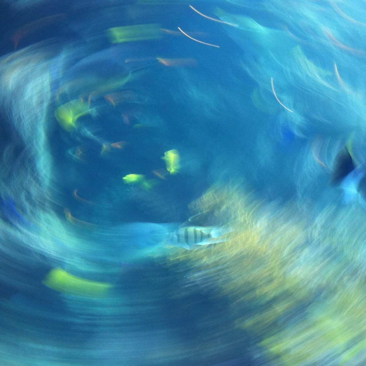 TanyaThomas5's profile picture. 