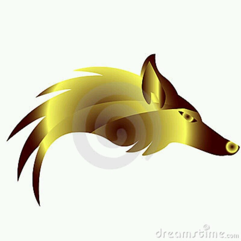 Team_yRONIC Profile Picture