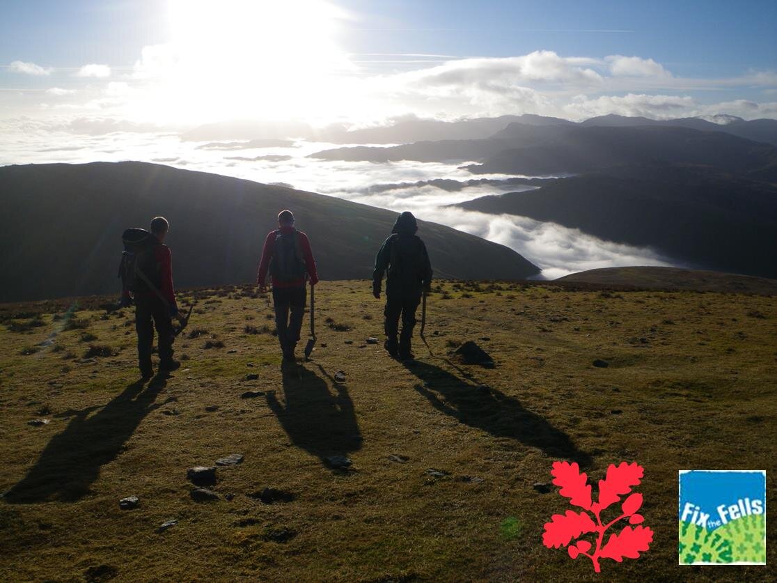 We're the South Lakes Upland Ranger team working across the Lake District Fells undertaking footpath repairs.  Also home to the original pink bucket...