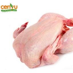 ProbioCenyu's profile picture. The real and right way of organic breeding...