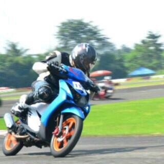 BulBul #28