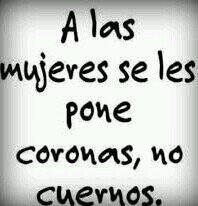 MerryMeow12's profile picture. 