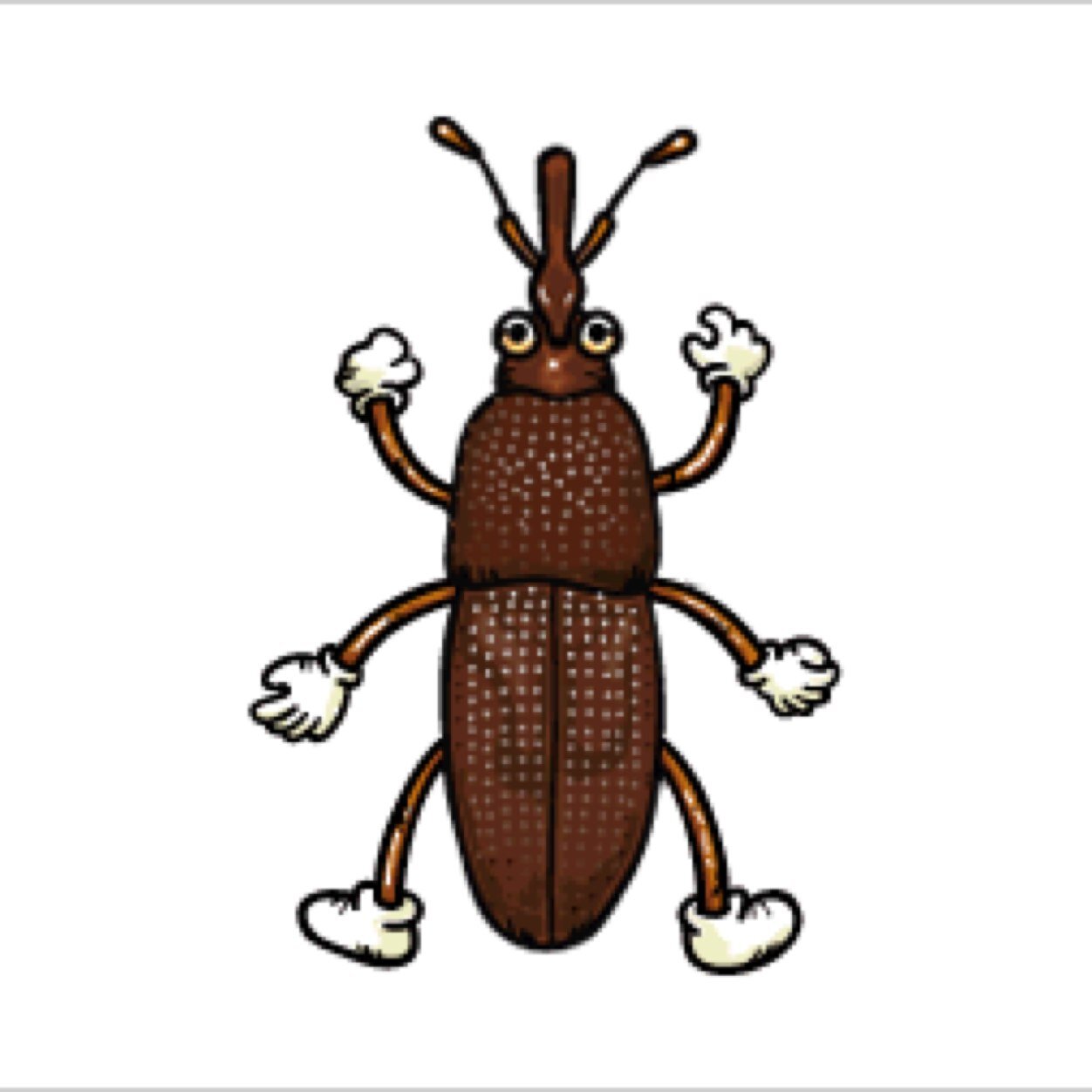 コクゾウ研さんのプロフィール画像